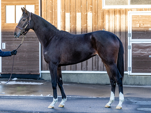 モッちゃん (@nib88vldu) / Posts / X