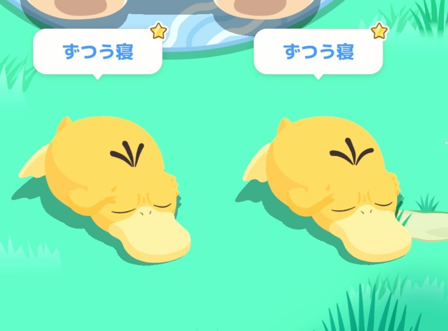 今日のリサーチ、コダック2匹が双子ちゃんみたいで可愛かった☺