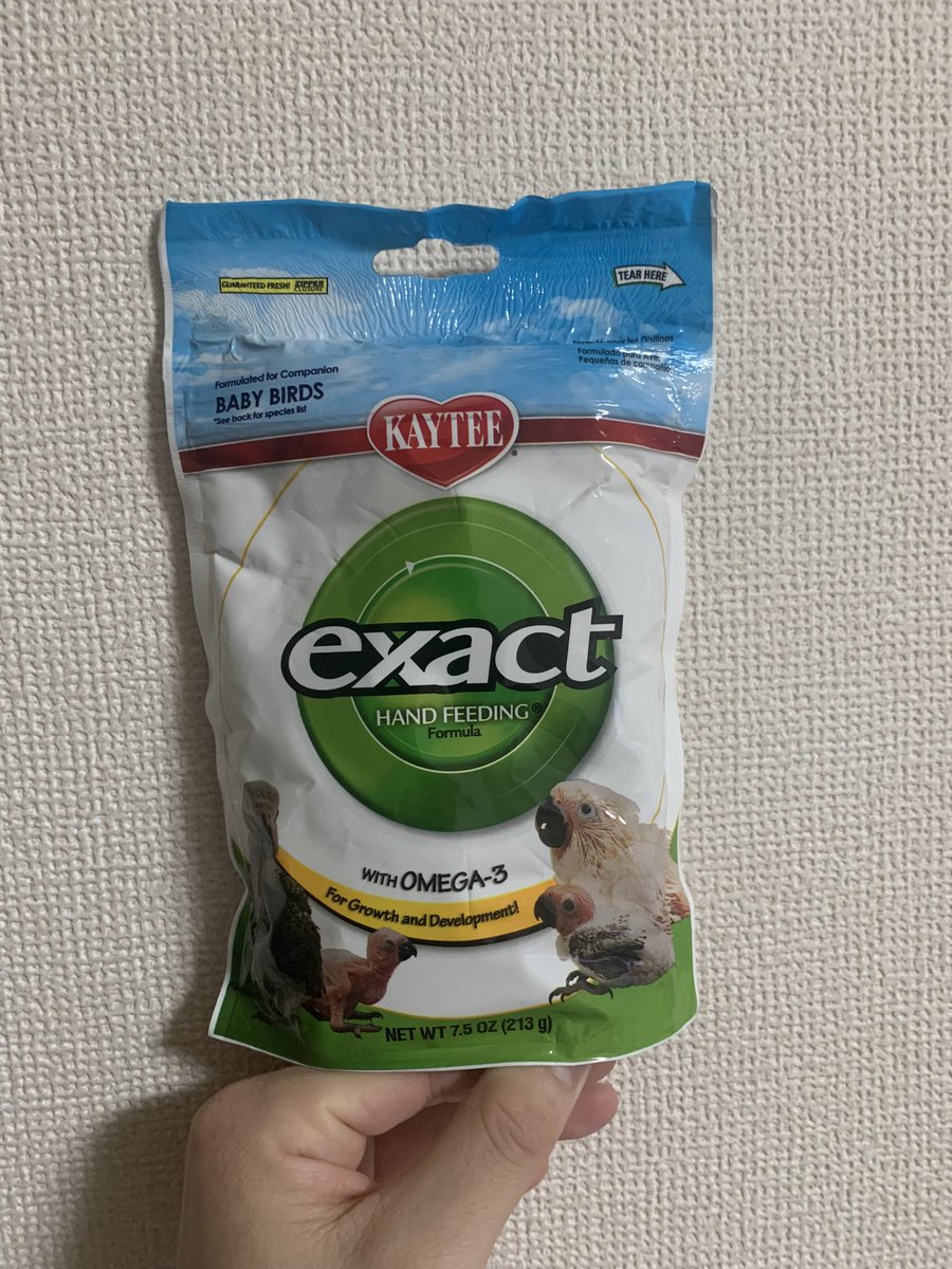 若狭小浜メダカ(バード) tweet media