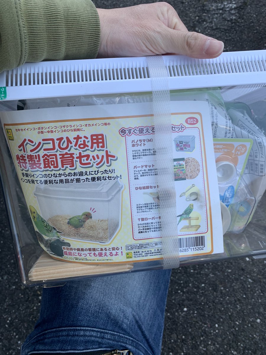 若狭小浜メダカ(バード) tweet media