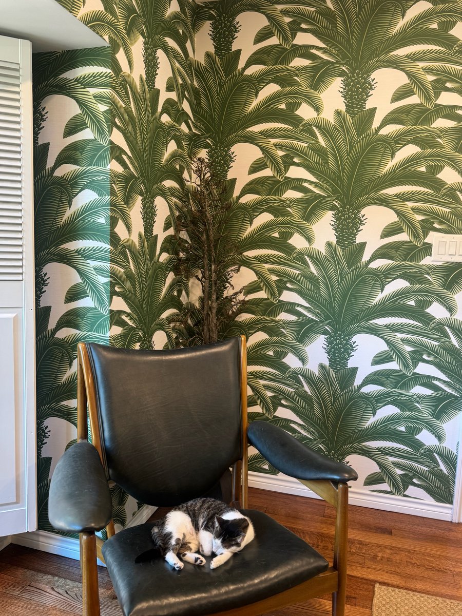 Texas_Paint's tweet image. The perfect place for a cat nap 😴🌴

Find your next obsession in the wallpaper aisle at your nearest Texas Paint! 📍

#TexasPaint #TexasWallpaper #InteriorDesignInspo #Thibaut