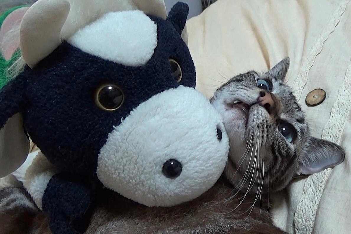 那由多 (@inzmnayuta) / Posts / X