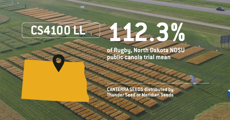 canterraseeds's tweet photo. Rugby NDSU public canola trial results are in 👀

CS4100 LL canola delivered 112.3% of the NDSU trial mean with PodProtect™ shatter tolerance plus 1st &amp; 2nd gen clubroot resistance. 

Distributed by Thunder Seed and Meridian Seeds.