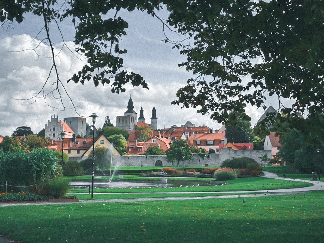 Mohako 📷 tweet media