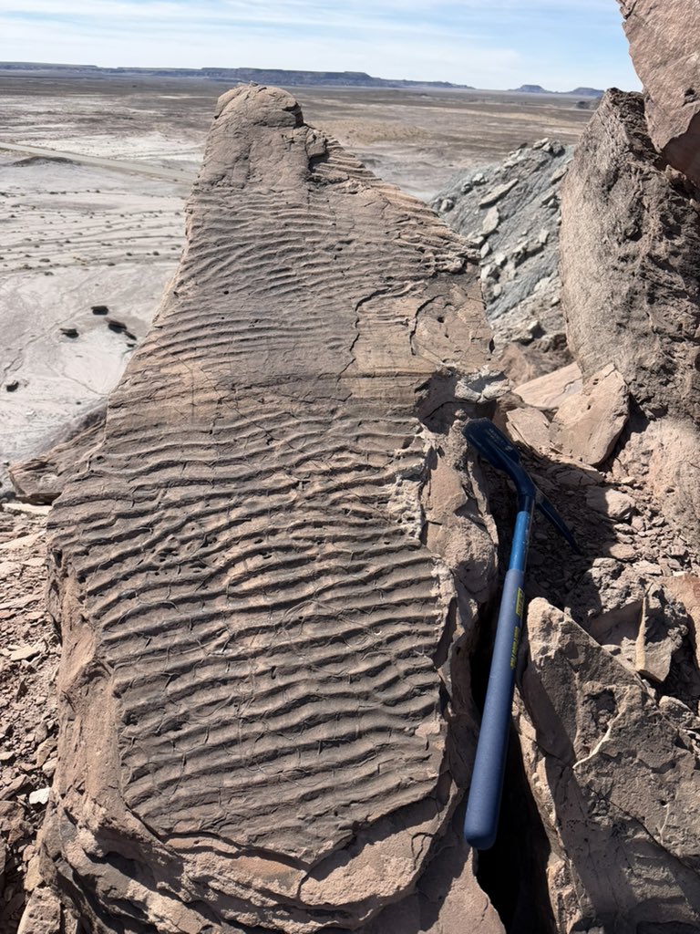 Adam Marsh tweet media