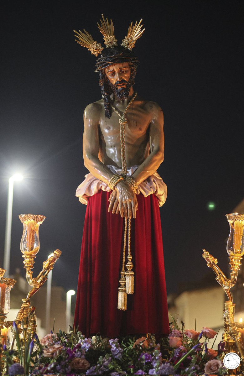 Provincia Cofrade tweet media