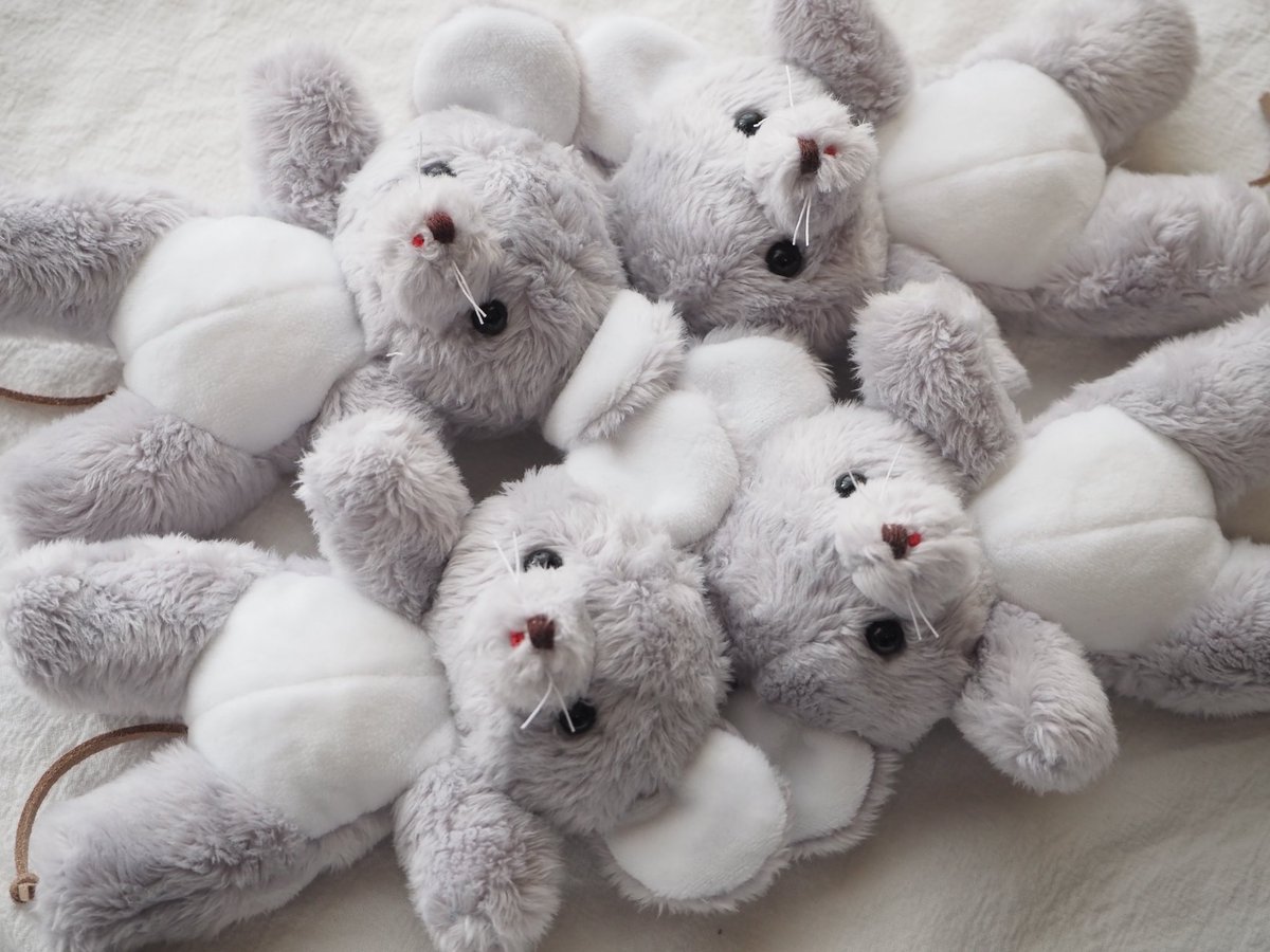 Mon poussin モンプサン (@chiku_usa) / Posts / X