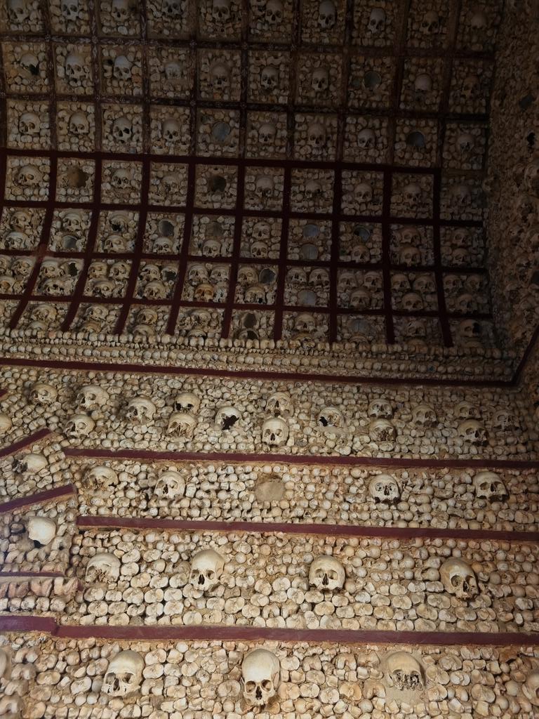 Treehugger_Actual ☮ (@treehugger_v2) on Twitter photo 