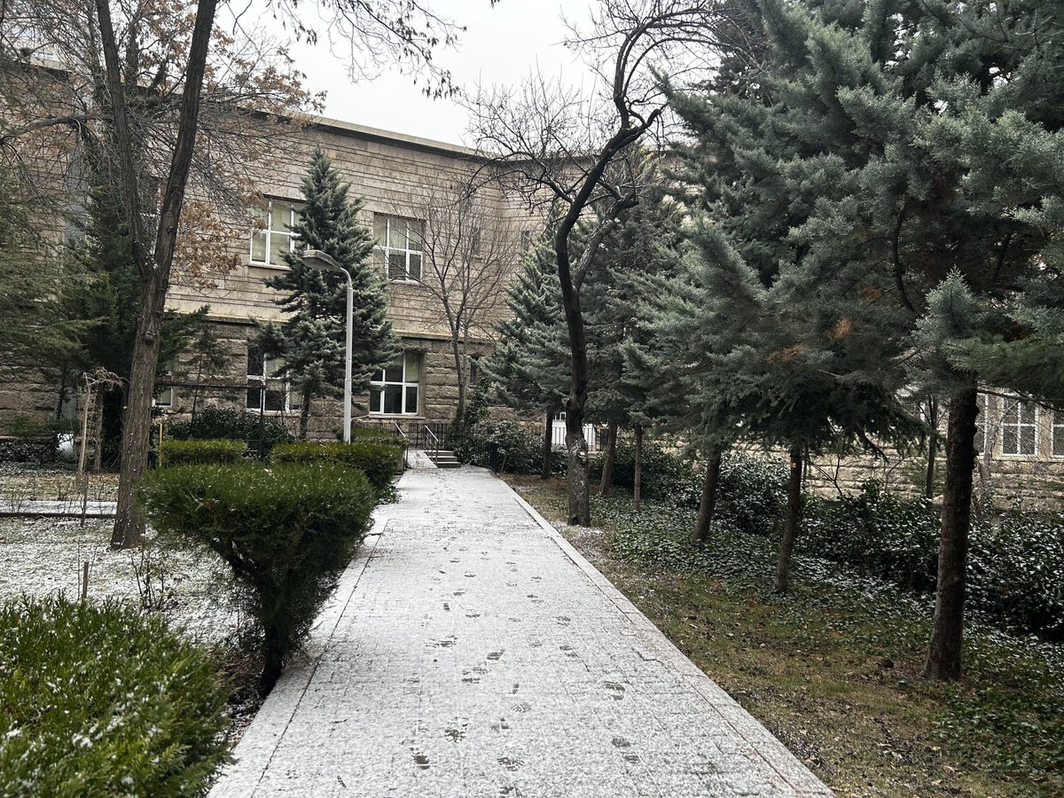 Erkut of Skovos tweet media