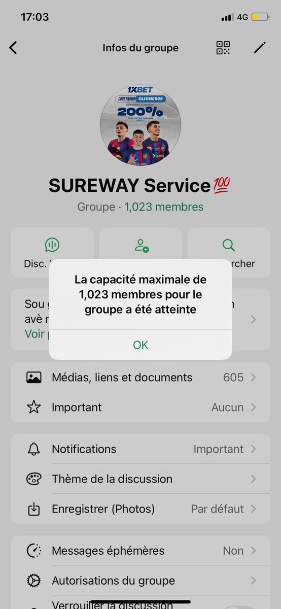 Olione_promo 10k🇦🇷💚 tweet media