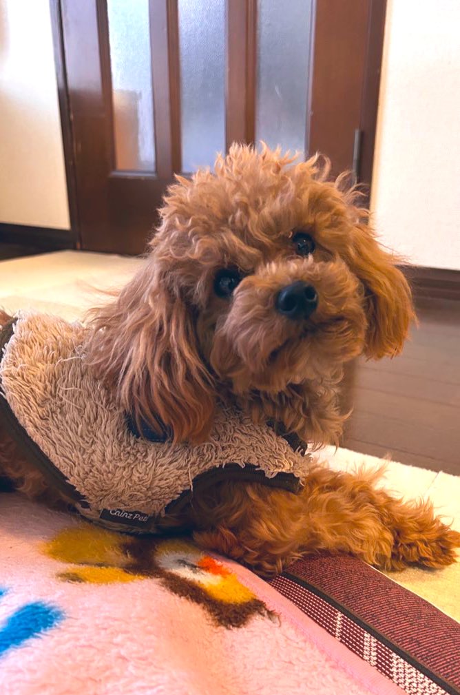 かずちゃん (@kazu13chan) / Posts / X