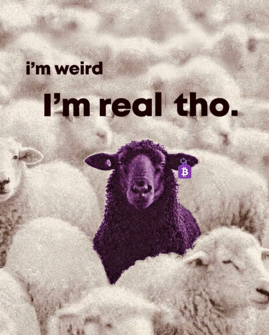 coinwizz303's tweet image. i’m weird
I’m real tho.
💜₿
#Purple #Bitcoin $PBTC