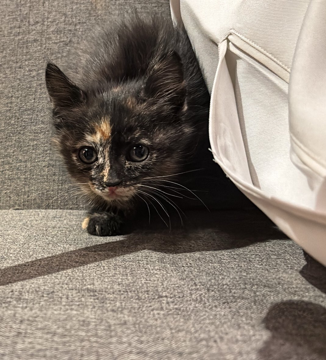 Muhanad ALsharari tweet media