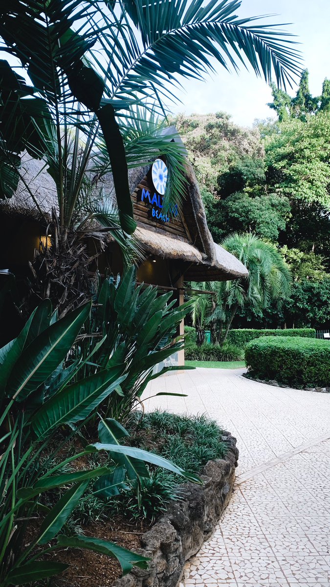 Rea 💜 tweet media