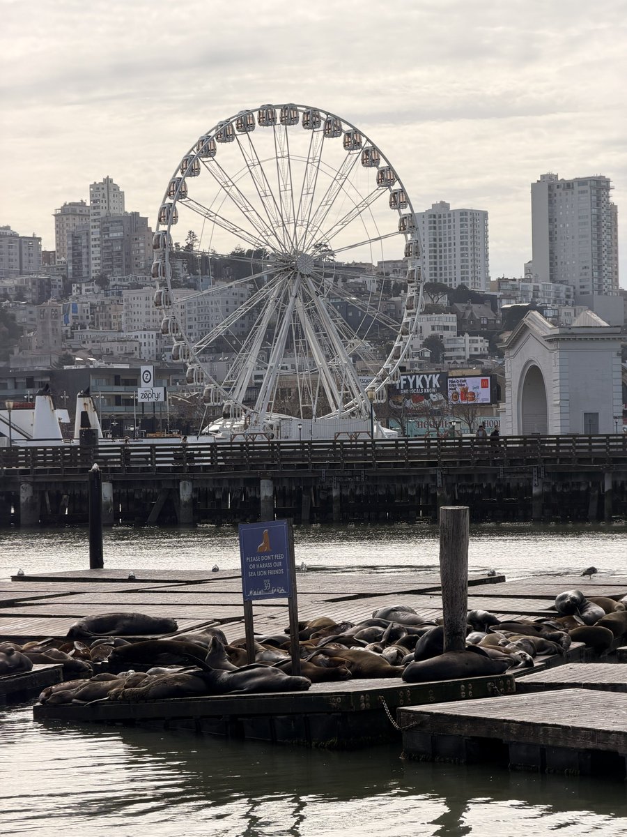 Mark’s Tech📱 Tech Reviews - Tech News tweet media