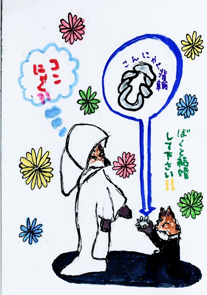 みゃー (@tXqQT4NYsSuG6EZ) / Posts / X