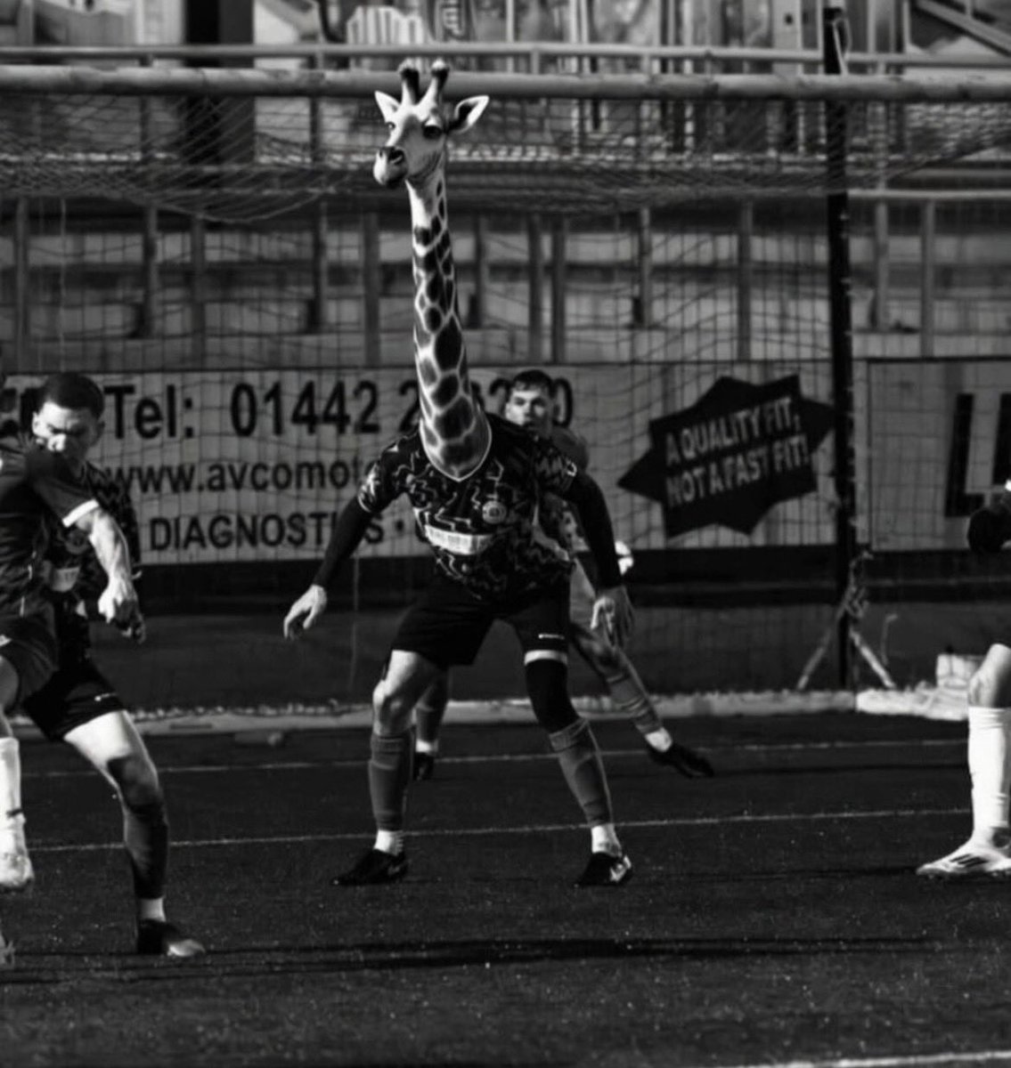 Sam Denham tweet media