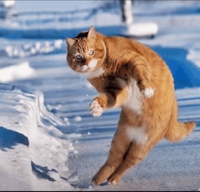 BG™️ tweet media