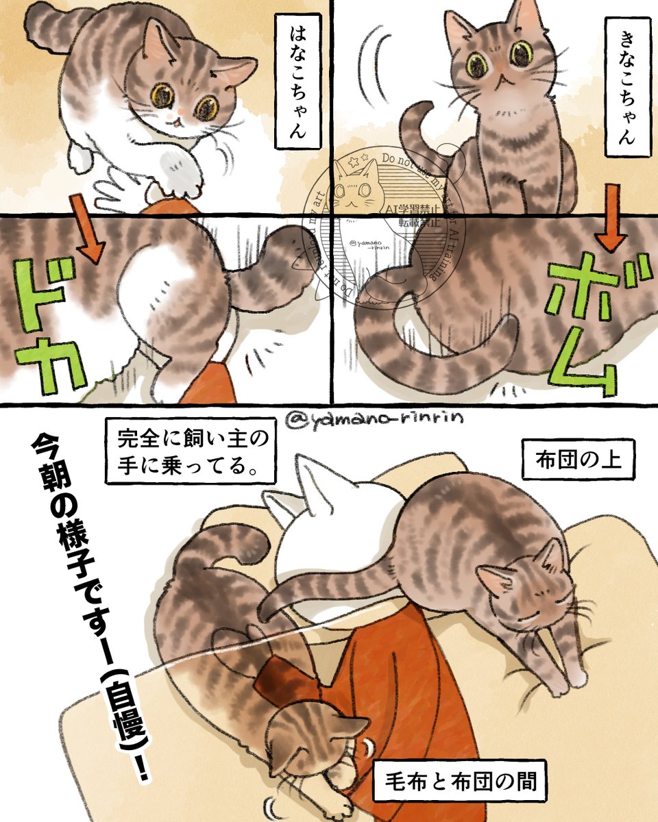 #今日の山野絵
#猫エッセイ
今朝の様子ですー(自慢)❗
(正確に言うと昨日の朝ですが☀) 