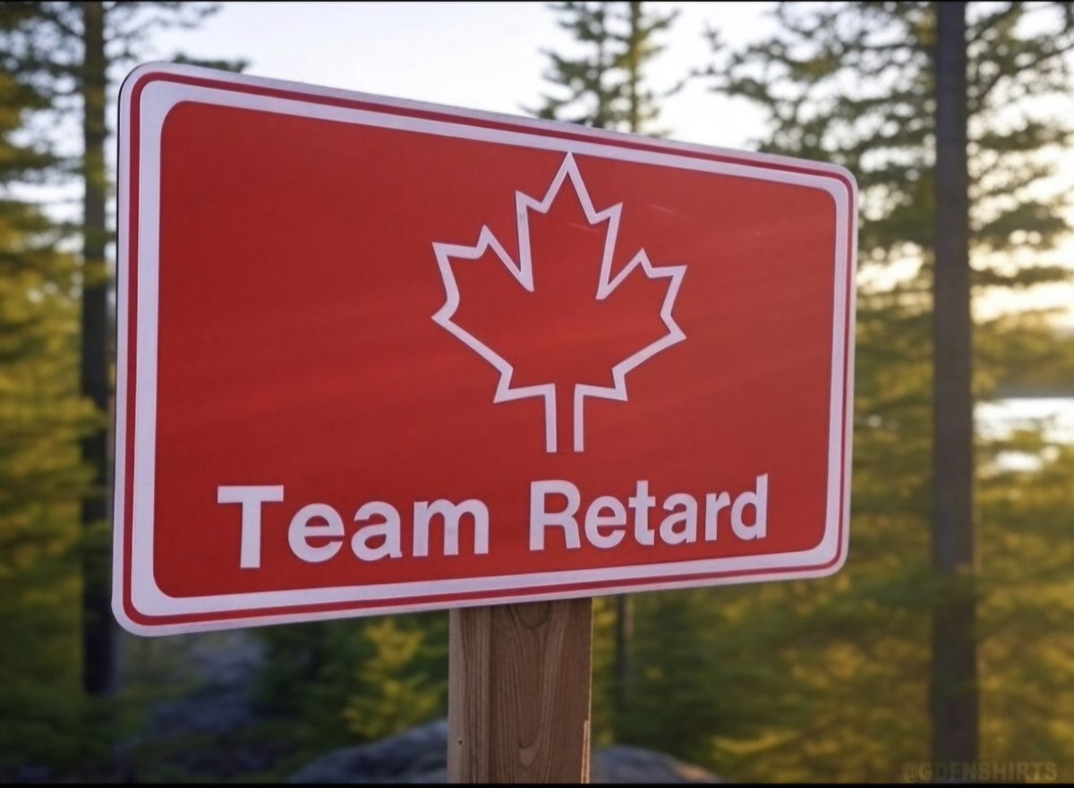 Robityson tweet media