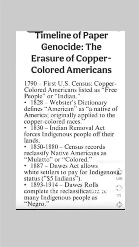 AMERICANS - 1790 -THE START OF THE RECLASSIFICATION AND ENDED WITH AFRICAN AMERICAN IN 1980s

INDIAN TO AFRICAN AMERICAN. 
1) INDIAN
2) COLORED /MULATTO
3) NERGO 
4) BLACK 
5) AFRICAN AMERICA