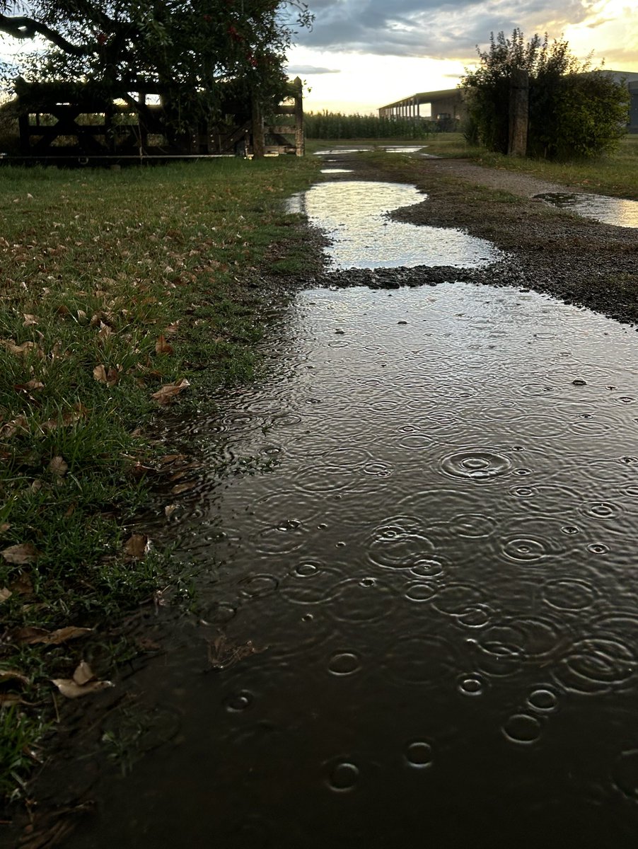 Micaela Waller tweet media