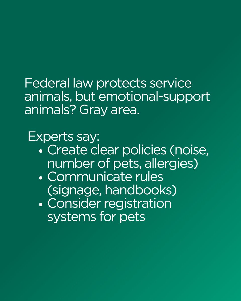 Korn_Ferry's tweet image. More employees are asking to bring #emotionalsupport animals to work—up 50% in five years. This shift challenges organizations to create policies that are compassionate, consistent, and culturally aligned. krnfy.bz/450tYeI