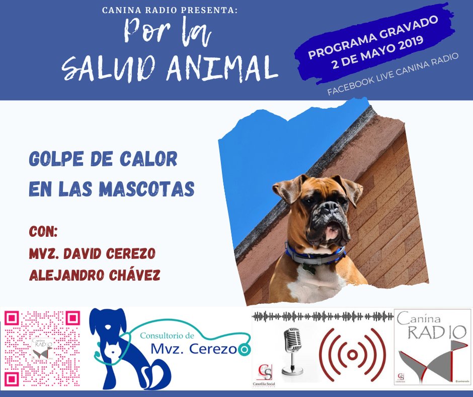 GOLPE DE CALOR EN LAS MASCOTAS 
Nos complace presentar este tema en compañía del MVZ. David Cerezo Sánchez.   
Vídeo grabado el día 2 de mayo del 2019

youtu.be/yF-jDZea_wU