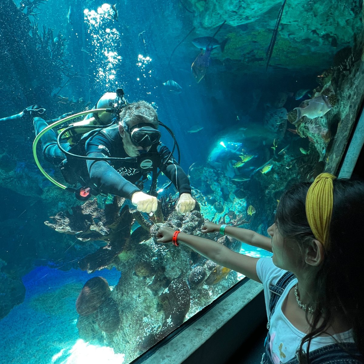 Frost Science tweet media