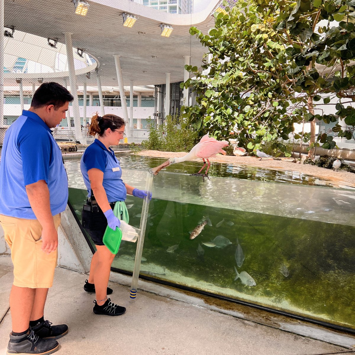 Frost Science tweet media