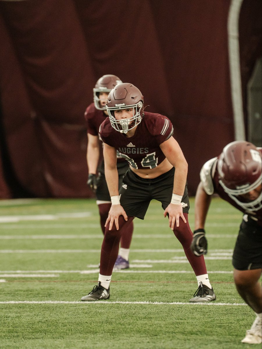 Augsburg Football tweet media