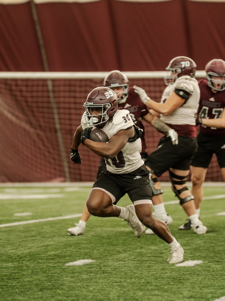 Laying the Foundation 🧱🦅