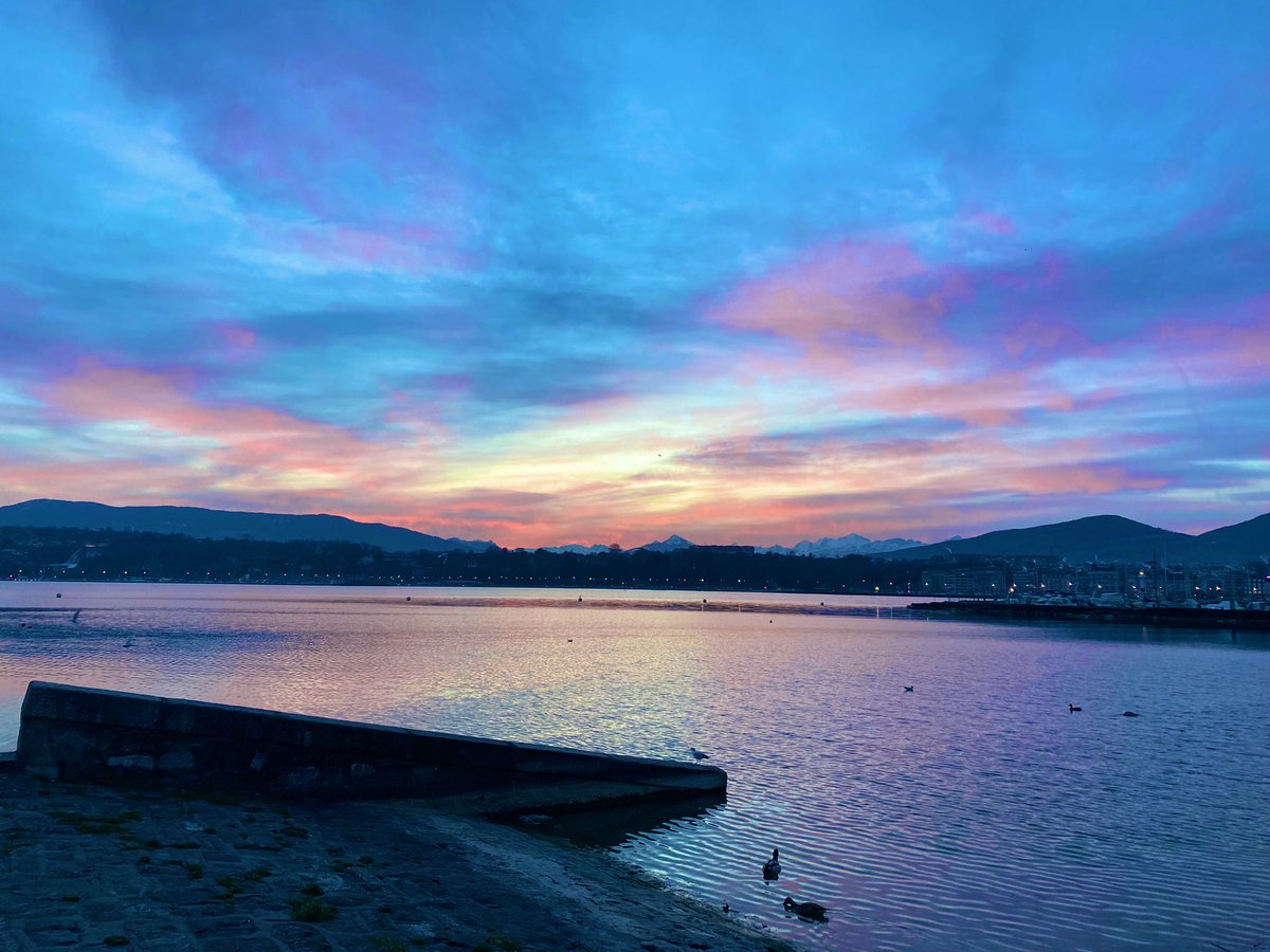 Andrii Mazurenko tweet media