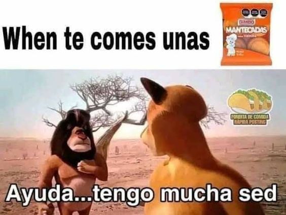 TheKing Thor! tweet media