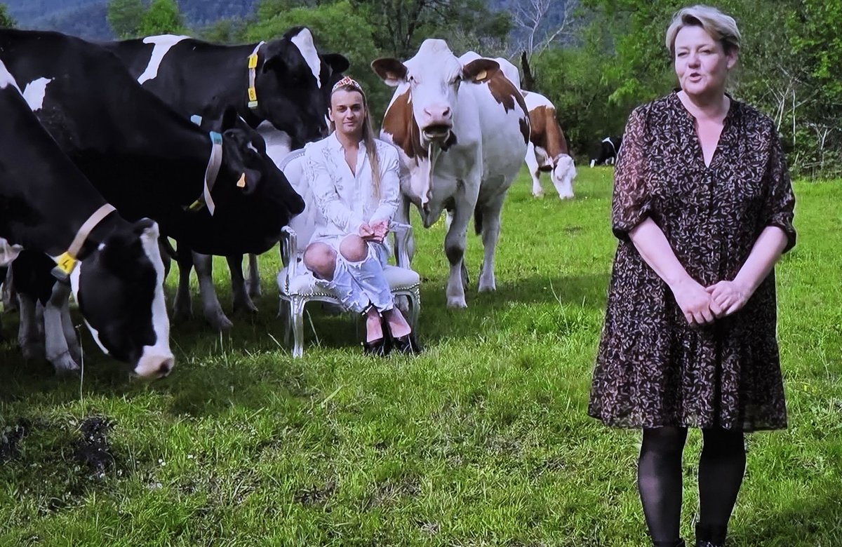 😭🤣🤣🤣🤣 jpp bordel #qvemf #QuiVeutEpouserMonFils