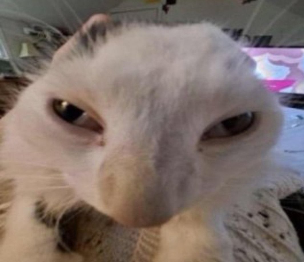 Awebo mas cerca de mi MORISION sisisisi