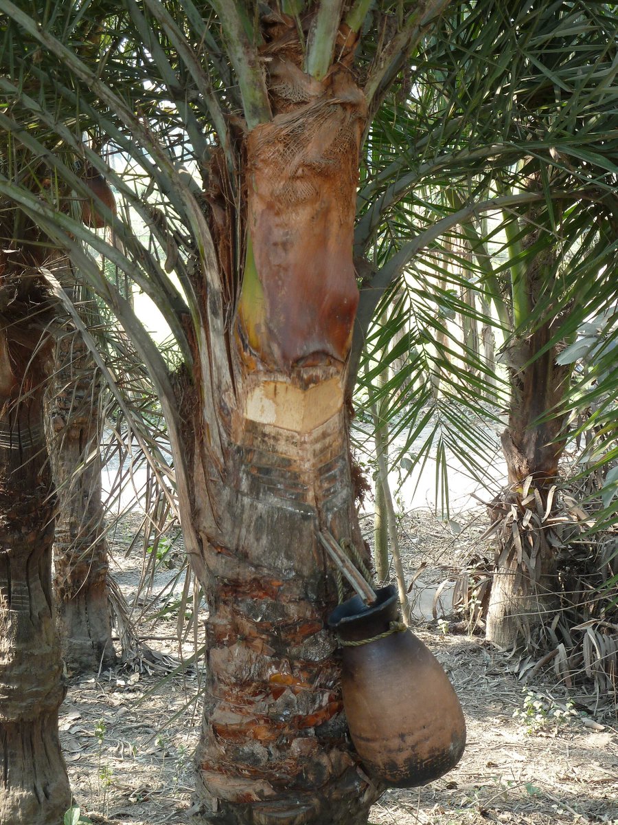 waskita adijarto tweet media