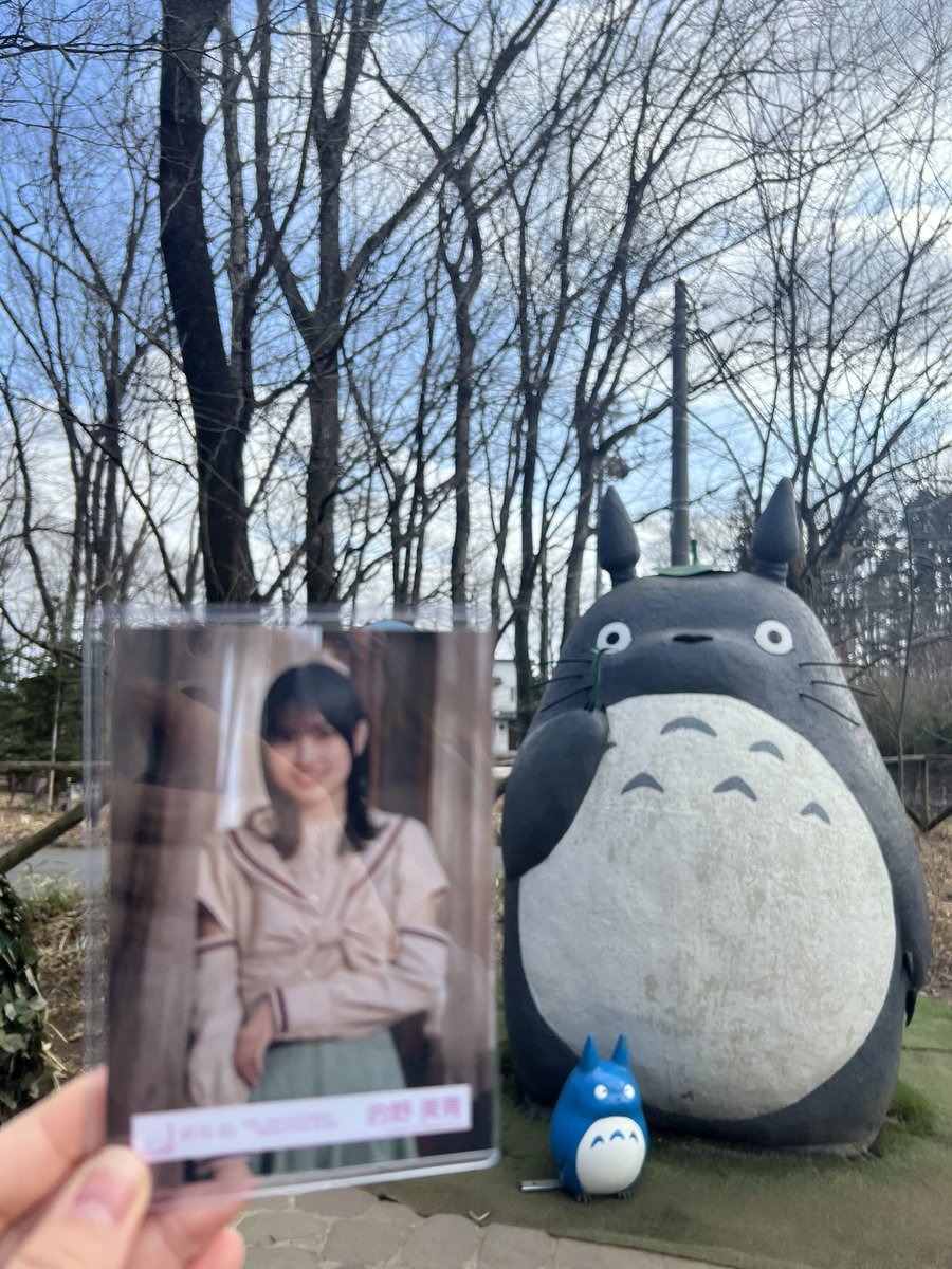 ふくちゃん🎯 (@fuku928sakura) / Posts / X