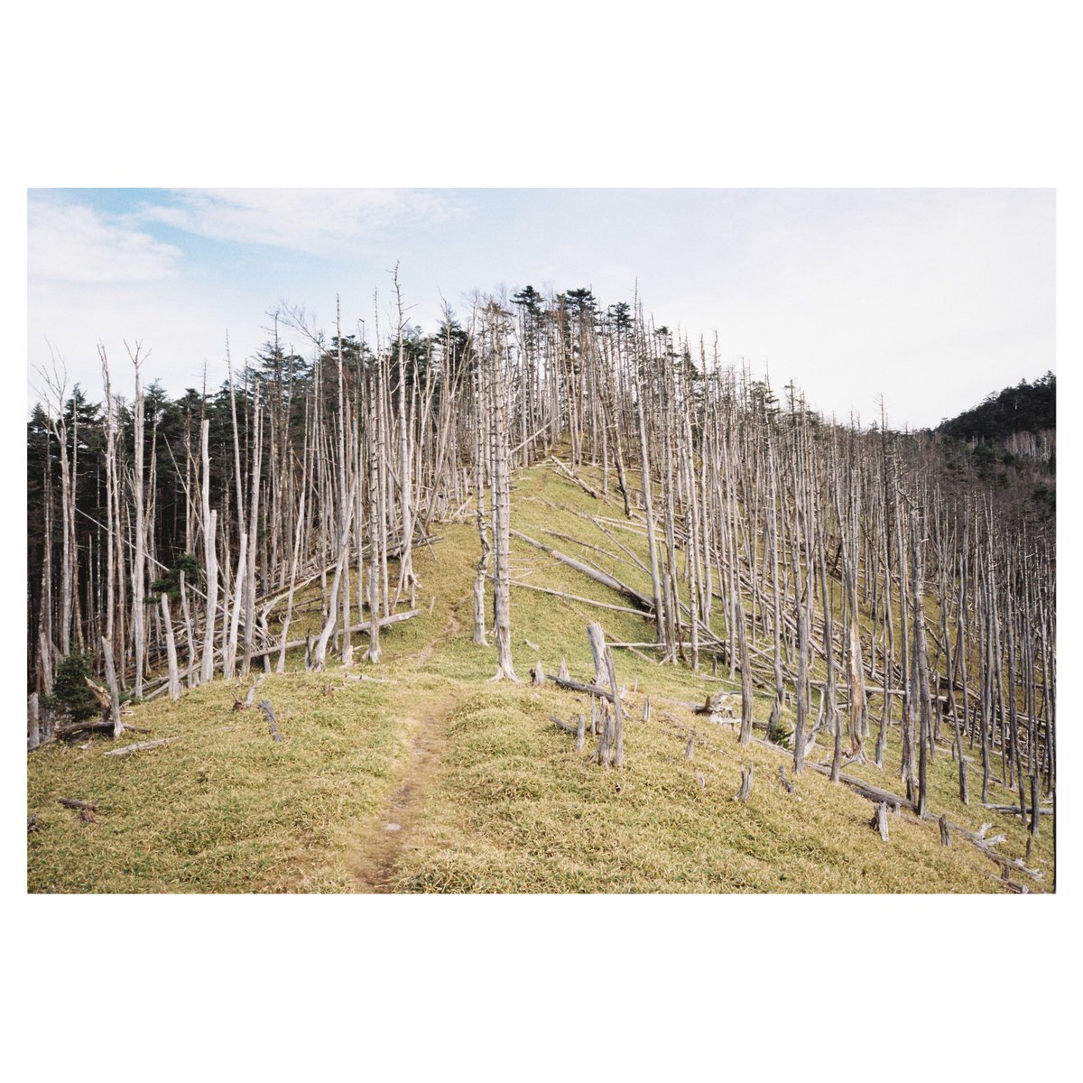 hacograph (@hacograph) on Twitter photo 