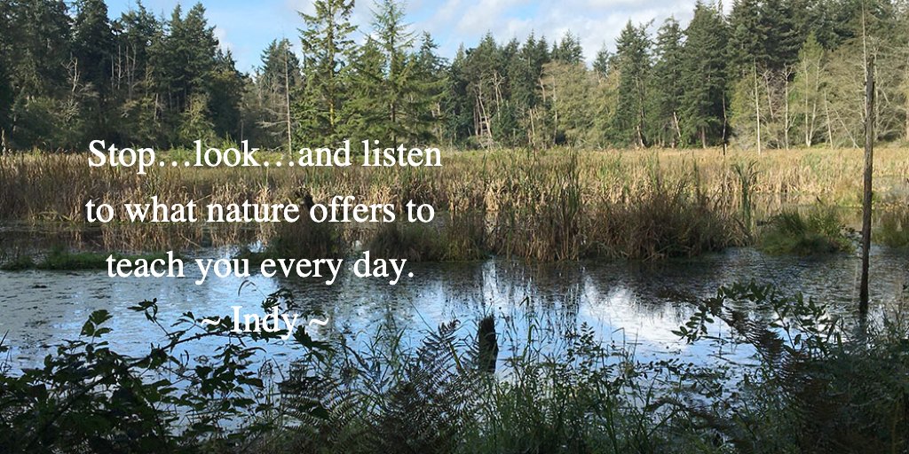 Happy Haiku Monday! I love the moments spent in nature, whether sunny, cloudy, rainy or snowy. Each experience is special and helps me find balance in my life. Here's to a new week!