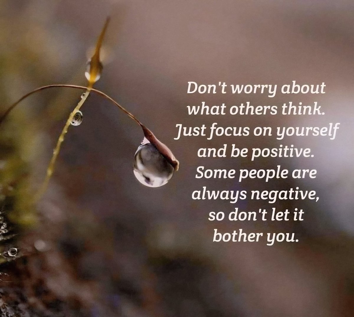 AWillbrandt1047's tweet image. I prioritize my serenity and evolution, eliminating toxic influences.🌱💖 #ProtectYourPeace #quotes