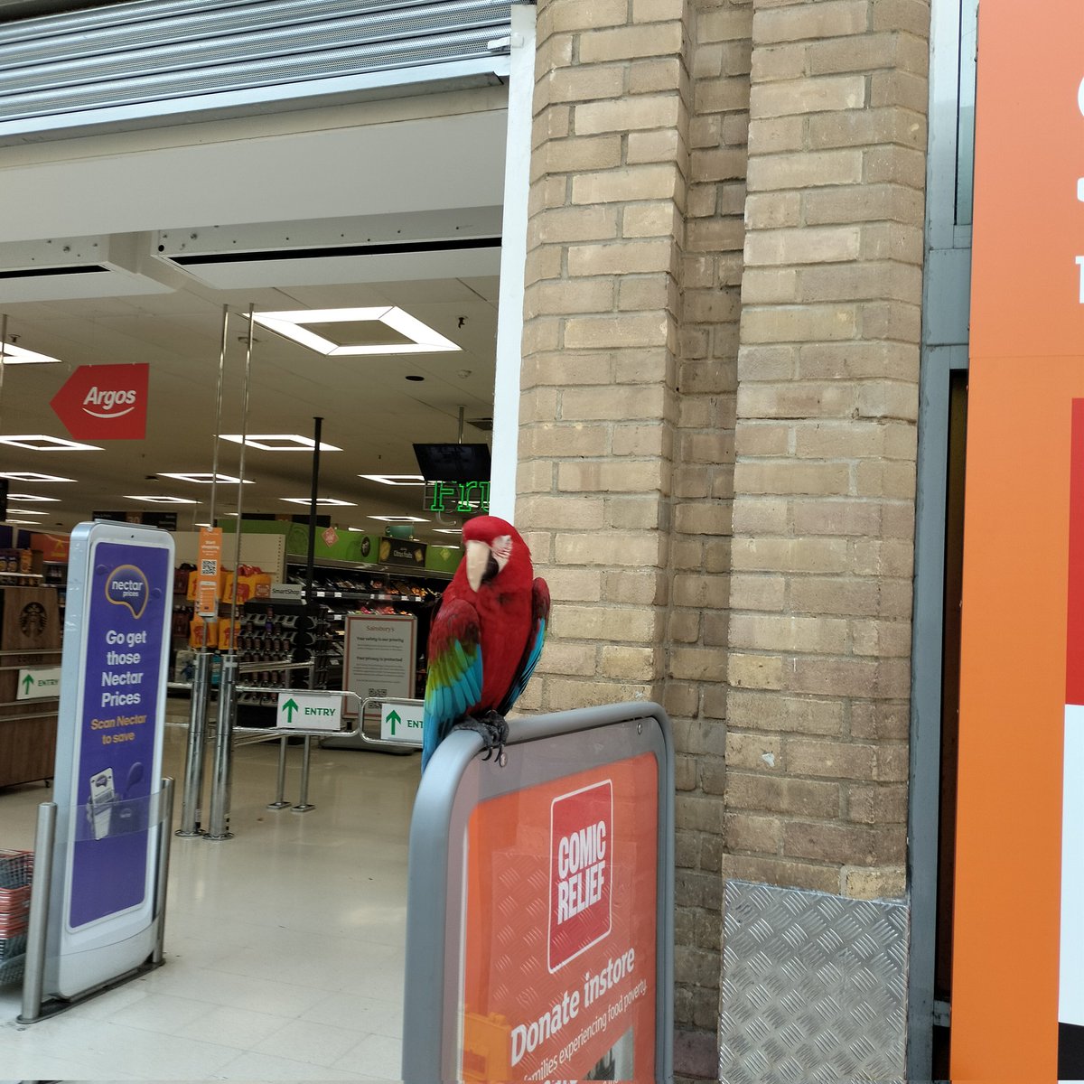 Sheila Suso-Runge (Cllr) tweet media