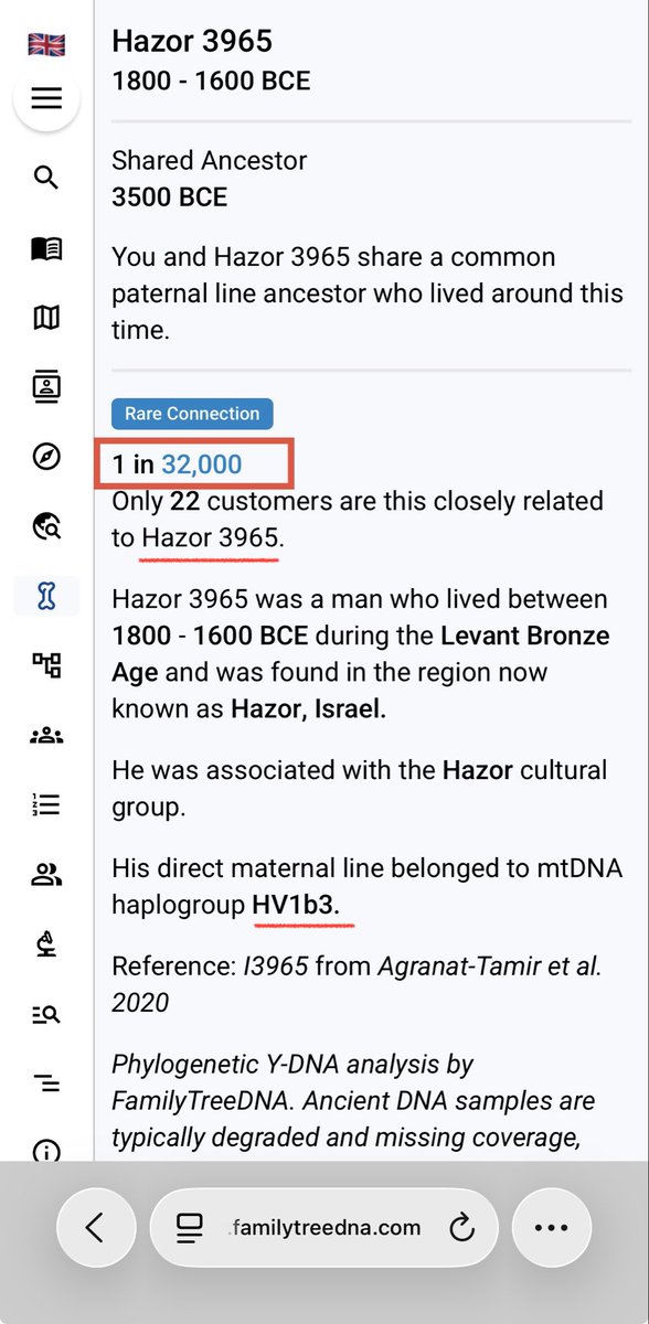 مالك نصيب tweet media
