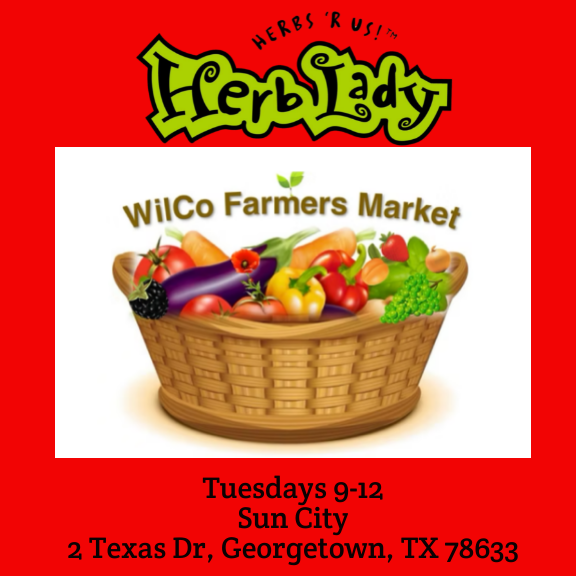 🇺🇸 The Original Herb Lady🇺🇸 tweet media