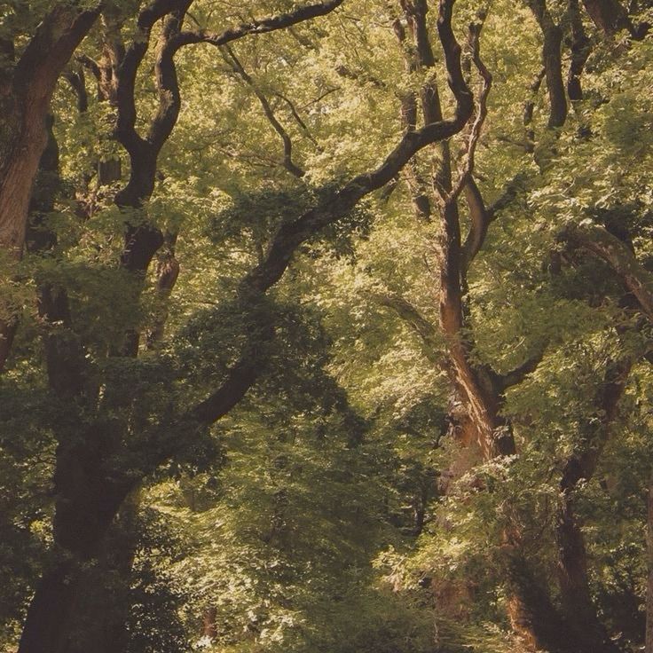 ⋆౨ৎ˚kasia | CEO of cooper hoffman tweet media