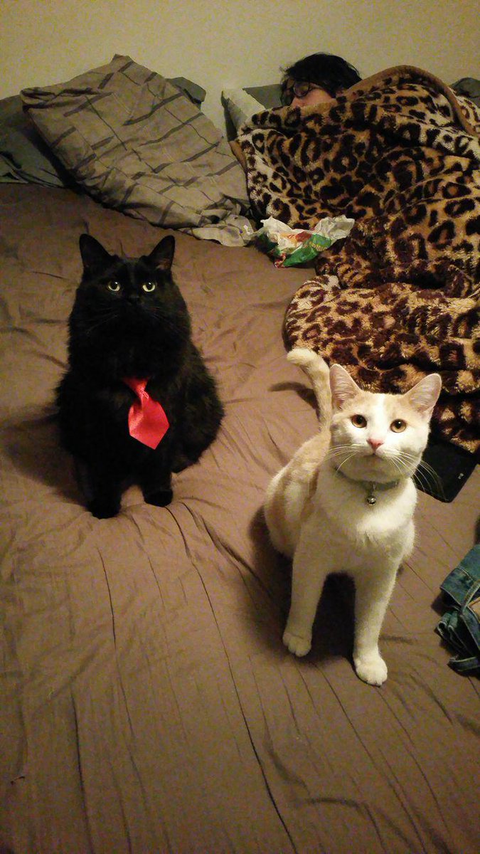 wackquack3 tweet media