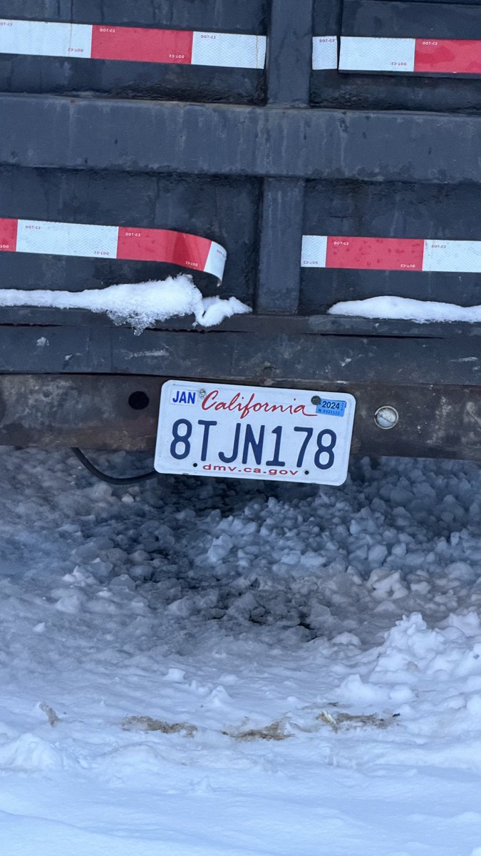 El Musk De Elon. tweet media