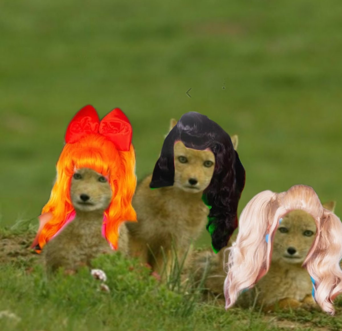 Ever miss butttootking so you just do whatever