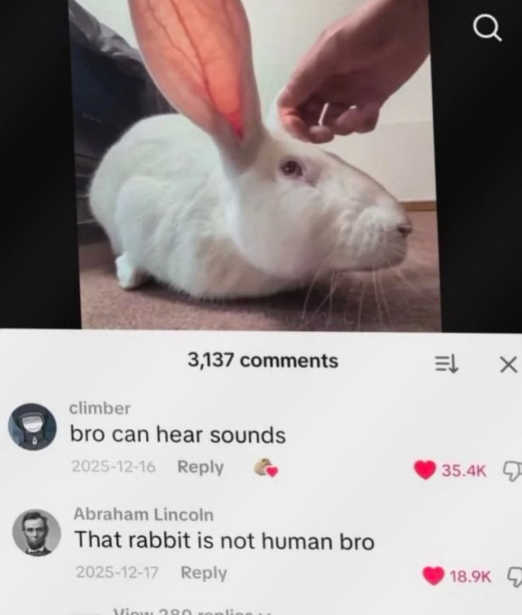 insane internet posts tweet media