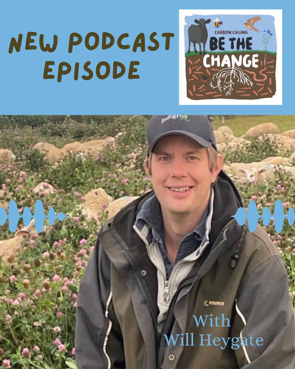 CarbonCallFarm's tweet photo. 🎧 NEW PODCAST EPISODE 

We had a really interesting chat with our friend @willheygate about having ‘BHAG’ = big, hairy, audacious, goals! And adapting his farming to have a more biodynamic approach 🌀

Listen here: https://t.co/nALSA9TBVV 

#regenag #biodynamicfarming https://t.co/AYSVCA8aLw